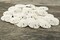 Sand Dollar Set of 30 Real Sand Dollars 1 1/2" to 2" Sand Dollar Shells